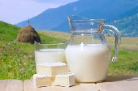 «Союзмолоко» требует ужесточения продуктового эмбарго для ЕС «Союзмолоко» требует ужесточения продуктового эмбарго для ЕС