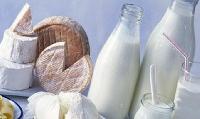 Россия – Нидерланды, поставки молочной продукции под угрозой Россия – Нидерланды, поставки молочной продукции под угрозой