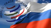 В требованиях ВТО можно найти лазейки В требованиях ВТО можно найти лазейки