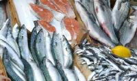 Производители рыбной продукции и таможенники обсудили вопросы сотрудничества Производители рыбной продукции и таможенники обсудили вопросы сотрудничества
