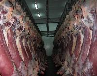 Индия: экспорт мяса крупного рогатого скота резко уменьшился из-за запретов Китая Индия: экспорт мяса крупного рогатого скота резко уменьшился из-за запретов Китая