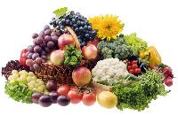 Плодоовощная продукция из Албании запрещена к поставкам в Россию Плодоовощная продукция из Албании запрещена к поставкам в Россию