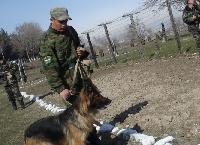 Почему украинцам стало труднее попасть в Россию Почему украинцам стало труднее попасть в Россию