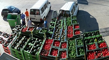 Как повлияла пандемия на структуру экспорта/импорта продовольствия в России?