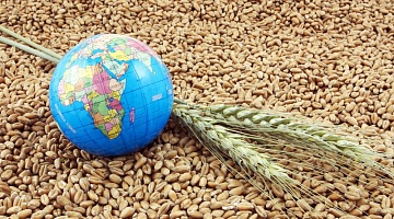 Экспорт зерновых в 2021 году